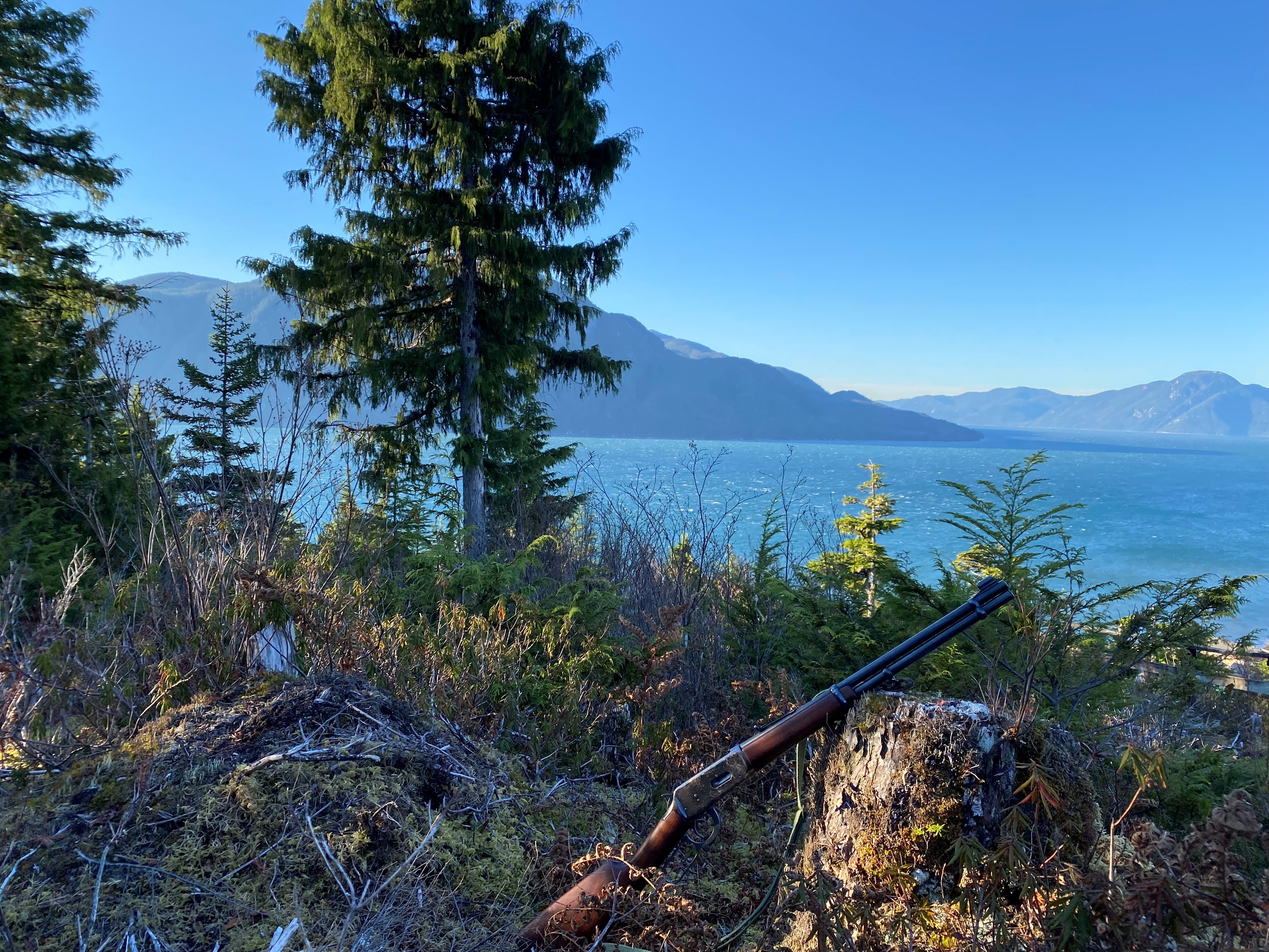 Tom Ryle Blacktail Blacktail Hunting the Coastal North - Northern Rifle